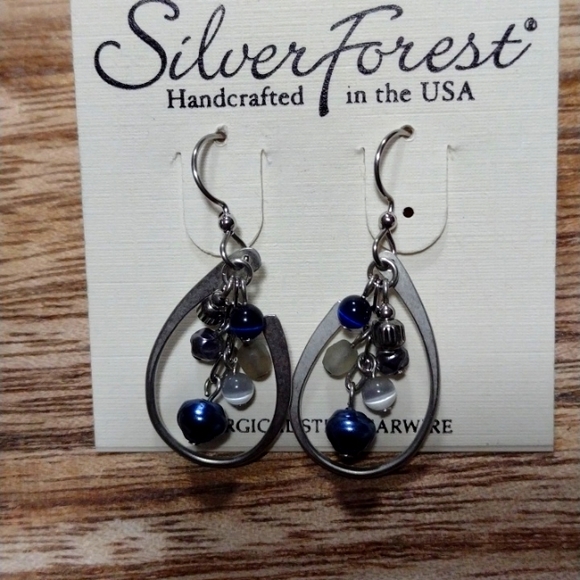 Silver Forest Jewelry Silver Forest Earrings Nwt Poshmark